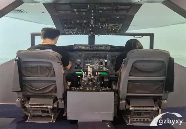 航空服务