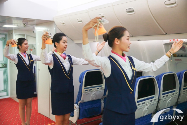 航空服务
