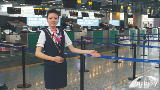 航空服务