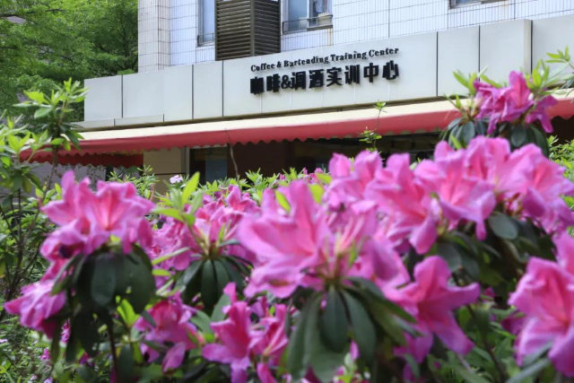 东莞计算机技校排名 东莞计算机学校插图
