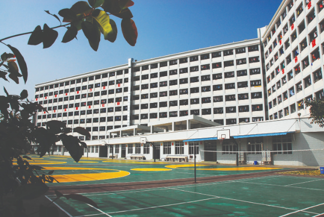 全国计算机等级证书查询入口（全国计算机等级考试ncre证书查询）插图