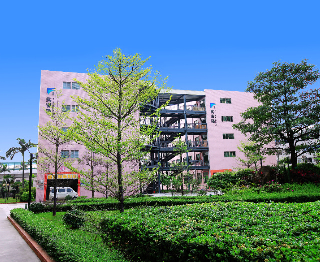 华茂国际学校学费（华茂国际学校学费多少）插图