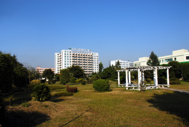 2023广州有什么职业技校(广州有哪些职业技术学院)插图