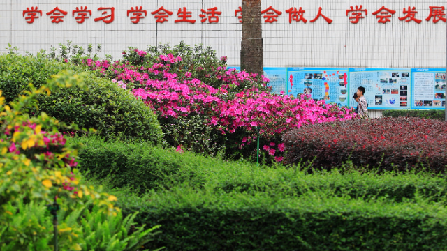 广东省科技职业技术学校中专是吗？插图