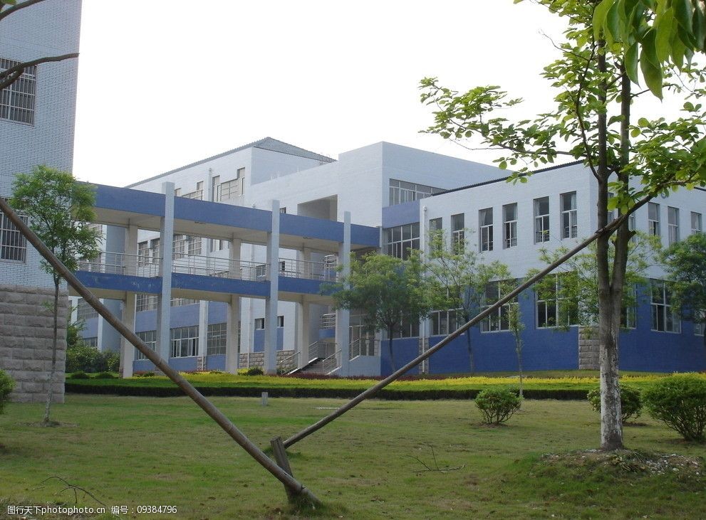 技校怎么报名单招（技校单招报名能报几个学校）插图