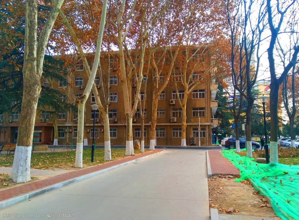 技校出来的算什么文凭（技校毕业证是什么层次）插图