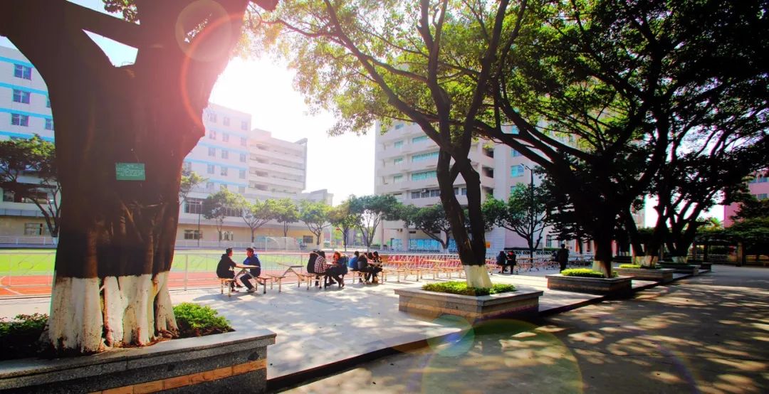 报读白云工商技师学院，你关心的问题答案都在这里！插图7