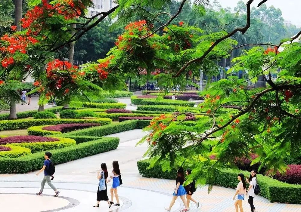 报读白云工商技师学院，你关心的问题答案都在这里！插图8