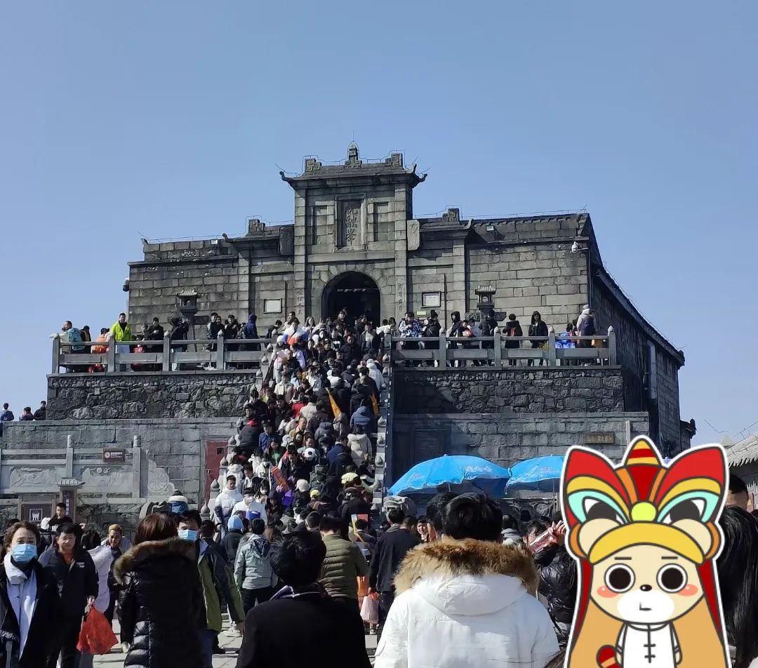 震惊！大学生的寒假生活写照竟然是这样...插图10