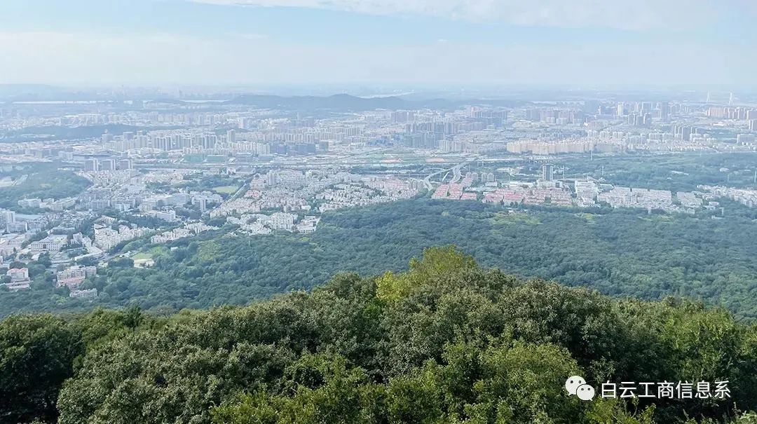 探索人工智能，点亮科技梦想——广州市白云工商技师学院信息工程系人工智能研学活动插图16