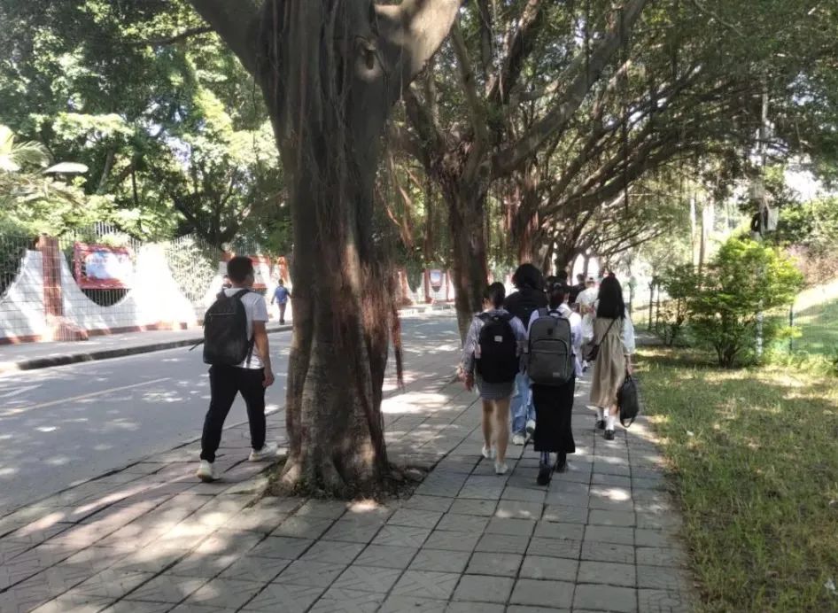 白云工商返校第一天 | 春光为序开启新征程！插图16