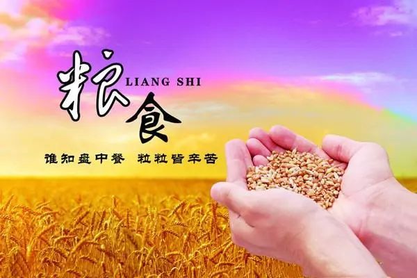 我是光盘族，对浪费说不。插图